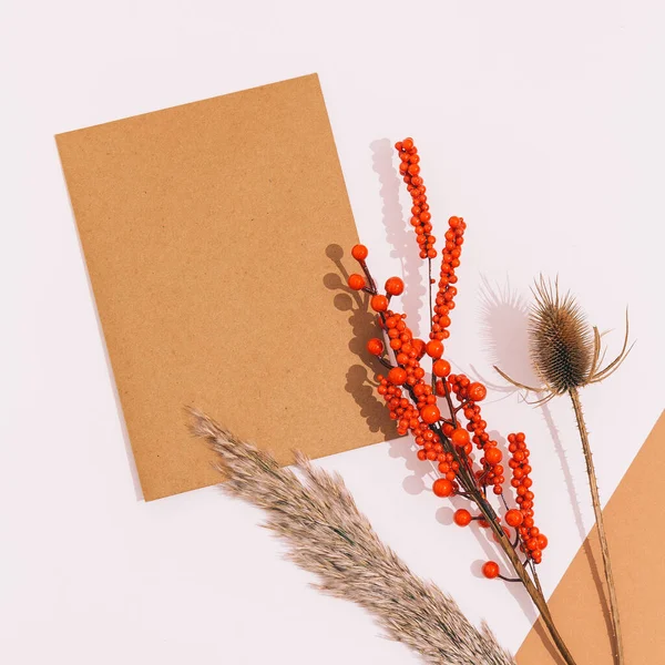 Höstens Modesammansättning Papper Blank Torkade Blommor Herbarium Vit Beige Bakgrund — Stockfoto