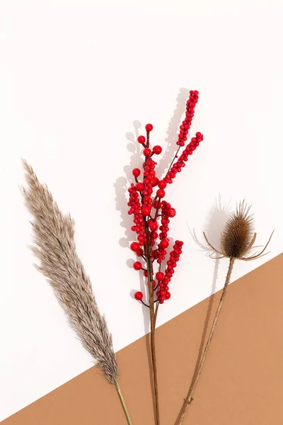 Otoño Composición Moda Invierno Decoración Flores Secas Herbario Sobre Fondo —  Fotos de Stock