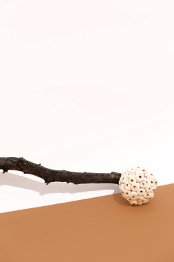 Beyaz kahverengi arka planda sonbahar dekoru kuru brunch ve top. Sonbahar minimalist konsepti, Sonbahar kompozisyonu. Hayat sanatı