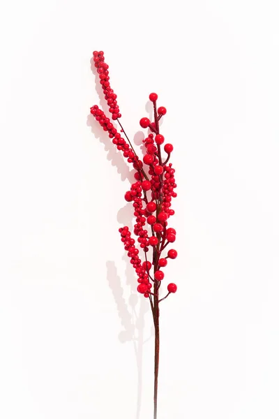 Autumn Winter Fashion Mood Decor Dried Flowers Herbarium White Background — Stock Photo, Image