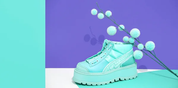 Chaussures Hiver Élégantes Sur Fond Bleu Automne Hiver Baskets Concept — Photo