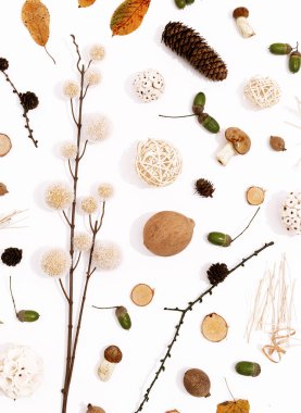 Sonbahar Sonbahar şablon arkaplanı. Gölgelerle bezenmiş.