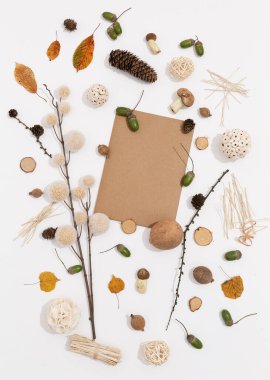 Sonbahar Sonbahar şablon arkaplanı. Düz yatıyordu. Model tasarımı