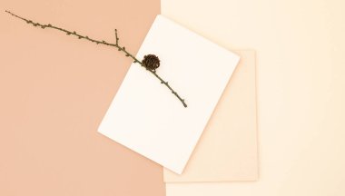 Sonbahar arkaplanı, ladin dallı boş durgun şablonu, davetiye maketi, üzerinde bej arkaplan yazılı metin için fotokopi alanı olan boş kağıt kartı. Üst Manzara. Düz yatıyordu. Sonbahar kış mevsimleri