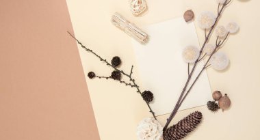 Sonbahar arkaplanı sonbahar dekoru, boş durağan şablon, davetiye maketi, üstten bej arkaplan üzerine metin için fotokopi alanı olan boş kağıt kartı. Üst Manzara. Düz yatıyordu. Sonbahar kış mevsimleri