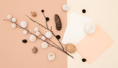 Sonbahar arkaplanı sonbahar dekoru, boş durağan şablon, davetiye maketi, üstten bej arkaplan üzerine metin için fotokopi alanı olan boş kağıt kartı. Üst Manzara. Düz yatıyordu. Sonbahar kış mevsimleri