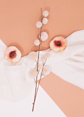 Beyaz tekstil arka planında taze şeftali ve dekor çiçekleri olan bir hayat sahnesi. Asgari estetik.