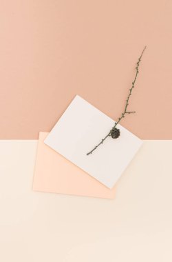 Sonbahar arkaplanı, ladin dallı boş durgun şablonu, davetiye maketi, üzerinde bej arkaplan yazılı metin için fotokopi alanı olan boş kağıt kartı. Üst Manzara. Düz yatıyordu. Sonbahar kış mevsimleri