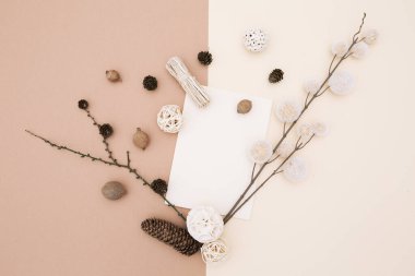 Sonbahar arkaplanı sonbahar dekoru, boş durağan şablon, davetiye maketi, üstten bej arkaplan üzerine metin için fotokopi alanı olan boş kağıt kartı. Üst Manzara. Düz yatıyordu. Sonbahar kış mevsimleri