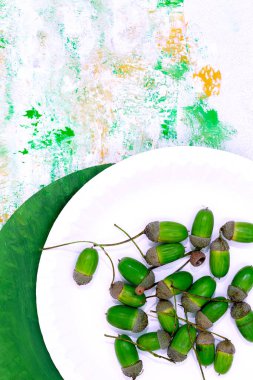 Tasarımda kullanılan meşe palamudu. En az sanat eseri. Sonbahar ekolojik yaşam konsepti