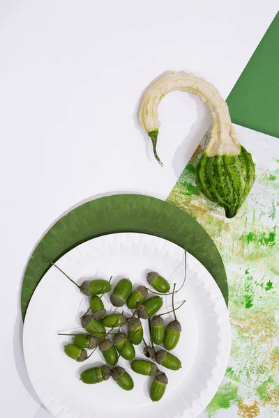 Zucca Acorn Sfondo Dipinto Design Arte Minimale Autunno Eco Bio — Foto Stock