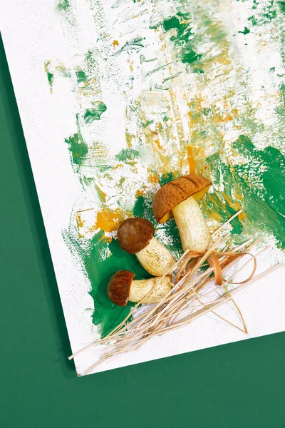 Cogumelos Frescos Fundo Desenho Pintado Arte Mínima Conceito Outono — Fotografia de Stock