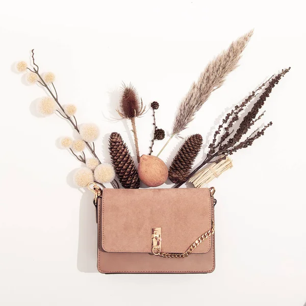 Mode Flache Laien Accessoires Clutch Minimales Herbst Winterdekor Stylischer Herbst — Stockfoto