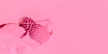 Minimum sahne, pembe ananas ve kumaş. Pastel Pembe Vanilya renkleri. Boşluğu kopyala