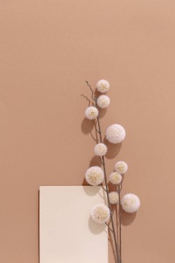 Sonbahar brunch dekor modeliyle kış sıcacık arkaplanı oluşturun. Renkli pastel bej kahverengi tonlar. Minimalist estetik