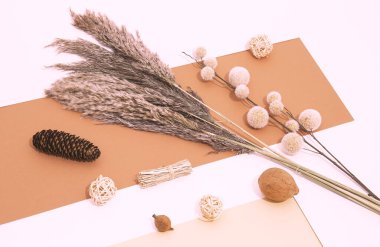 Kış mevsiminde arka planda bitki güz dekoru blogcular için düzleşir. Moda bej renk gölgeleri