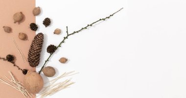 Minimum sonbahar kompozisyonu. Kahvaltı.