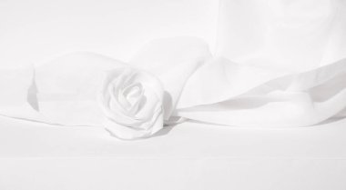 Durgun yaşam sahnesi, beyaz güller, çiçekler ve tekstil dekoru. Kış mevsimi konsepti Moda beyaz renkleri estetik