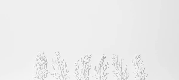 Módní Zátiší Zimní Scéna Bílé Malované Stromy Minimální Stylový Sníh — Stock fotografie