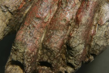 Restorasyon: kapatın. resim sergisi korunması. heykeller korunması