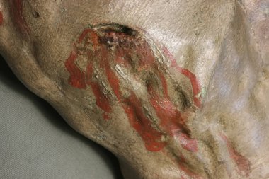 Restorasyon: kapatın. resim sergisi korunması. heykeller korunması