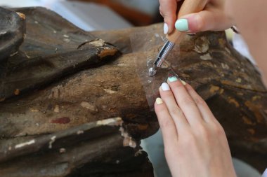 Restorasyon: bir resim son rötuş yakın çekim