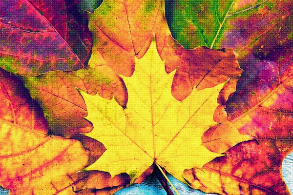 Φθινόπωρο φόντο κίτρινο και χρωματιστά φύλλα, — Φωτογραφία Αρχείου