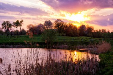 günbatımı alanında. Ukrayna güzel sonbahar sisli manzara