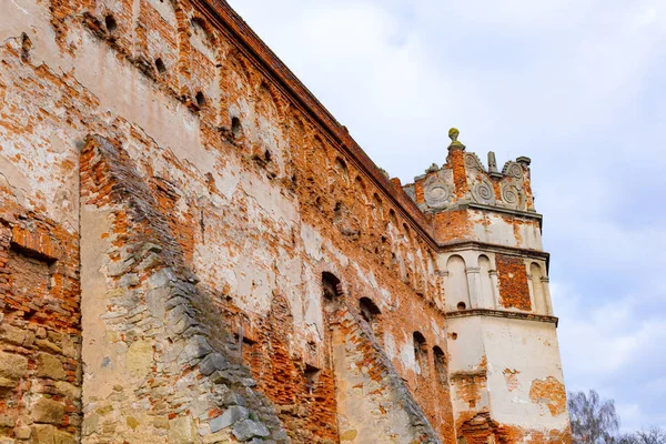 Kapıları Pencereleri Staroselskiy Castle Dik Dik Selo Lviv Bölgesi Ukrayna — Stok fotoğraf