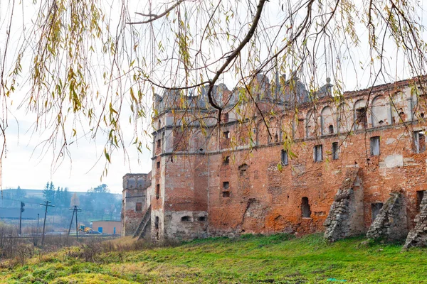 Kapıları Pencereleri Staroselskiy Castle Dik Dik Selo Lviv Bölgesi Ukrayna — Stok fotoğraf