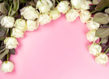pembe bir arka plan üzerinde güzel beyaz güller. metin için yer. üst görünüm arka plan