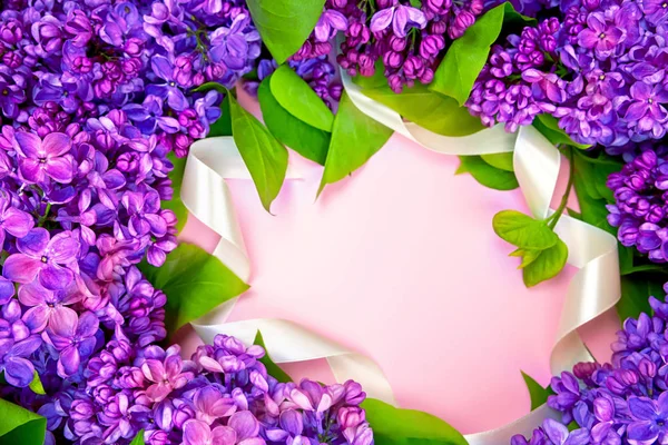 Beau lilas frais violet foncé sur le fond rose, fond violet, endroit pour le texte, vue sur le dessus Images De Stock Libres De Droits