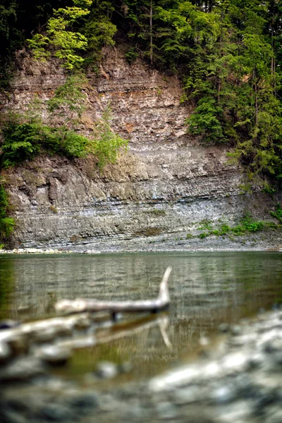 Górska rzeka, krajobraz w Karpatach, widok na skale — Zdjęcie stockowe