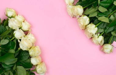 pembe bir arka plan üzerinde güzel beyaz güller. metin için yer. üst görünüm arka plan