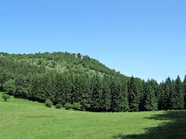 Escursione Bulgaria Natura Montagna — Foto Stock