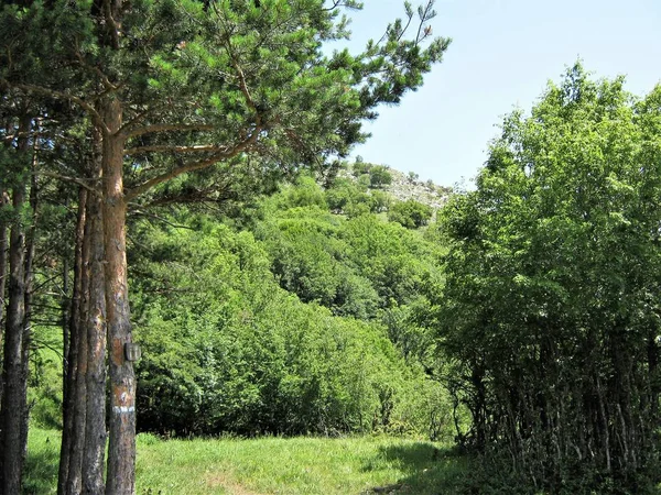 gezi Bulgaristan tatil dağ, doğa seyahat, su