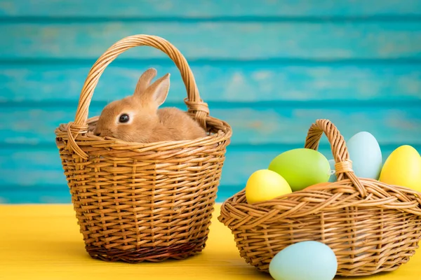 Paashaas Mandje Met Eitjes Lente Feestdagen Concept — Stockfoto