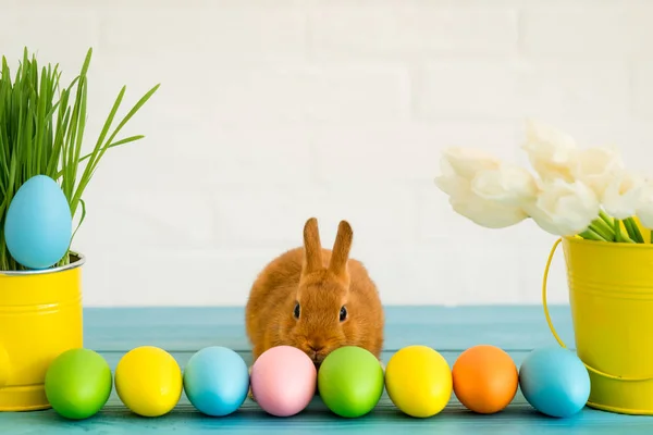 Paashaas Mandje Met Eitjes Lente Feestdagen Concept — Stockfoto