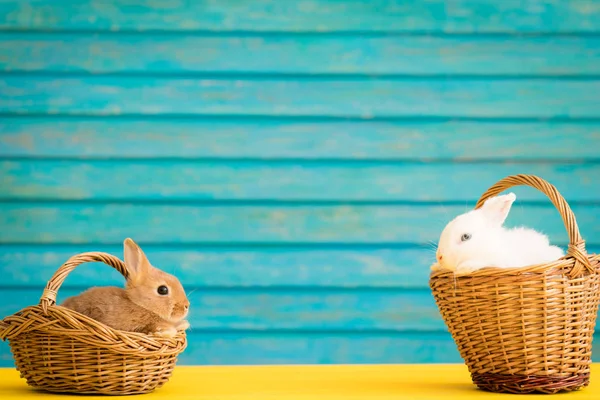 Paashaas Mandje Met Eitjes Lente Feestdagen Concept — Stockfoto