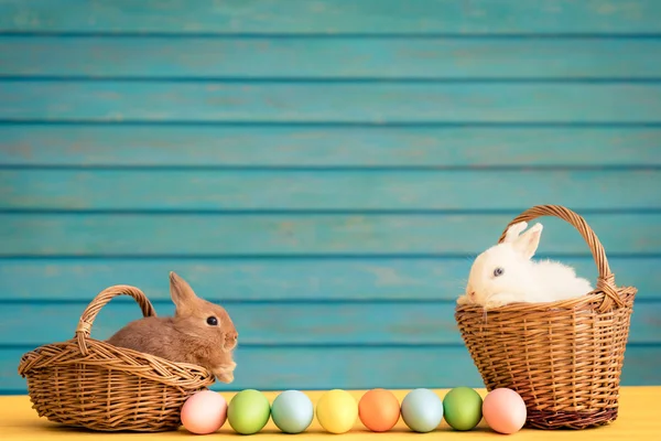 Paashaas Mandje Met Eitjes Lente Feestdagen Concept — Stockfoto