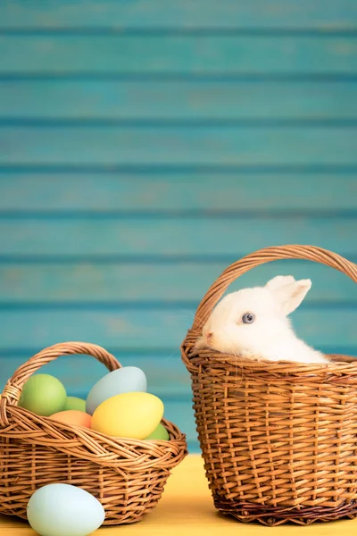 Paashaas Mandje Met Eitjes Lente Feestdagen Concept — Stockfoto