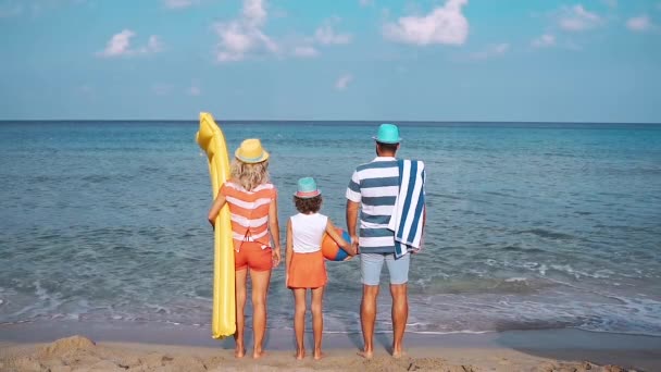 海滩上的快乐家庭 人们在暑假玩得很开心 母亲和孩子面对蓝色的大海和天空背景 假日旅行概念 — 图库视频影像
