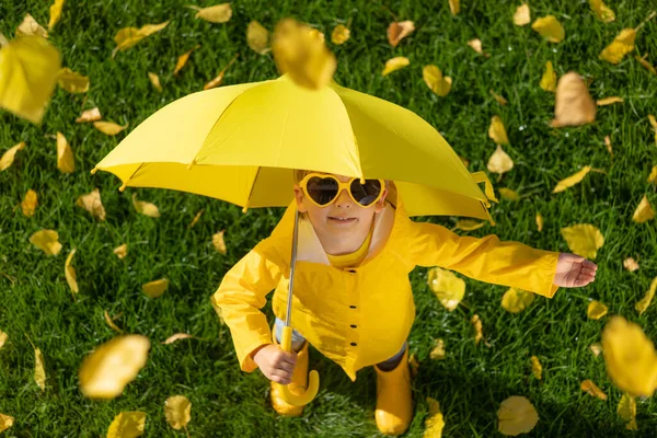 공원의 야외에서 재미있게 아이의 나뭇잎에 위에서 우산을 두르고 아이는 배경이 — 스톡 사진