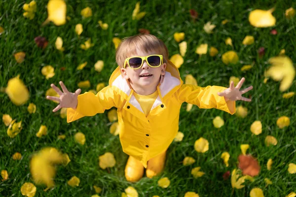秋の公園で楽しい屋外を持つ幸せな子供のトップビューの肖像画 笑顔の子供立っている緑の草に対して黄色の葉ぼやけた背景 — ストック写真