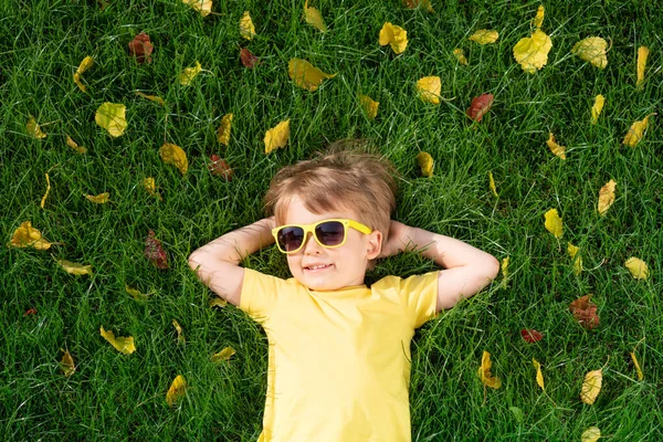 秋天公园里快乐孩子在户外玩乐的头像 笑孩子躺在绿草上 背靠着黄色的叶子 背景模糊不清 — 图库照片