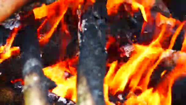 Abstracts Bakgrund Fire Flame Hot Bakgrund — Stockvideo