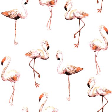 Flamingo desen. Yaz suluboya arka plan.