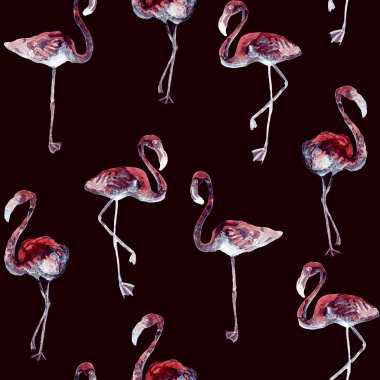 Flamingo desen. Yaz suluboya arka plan.
