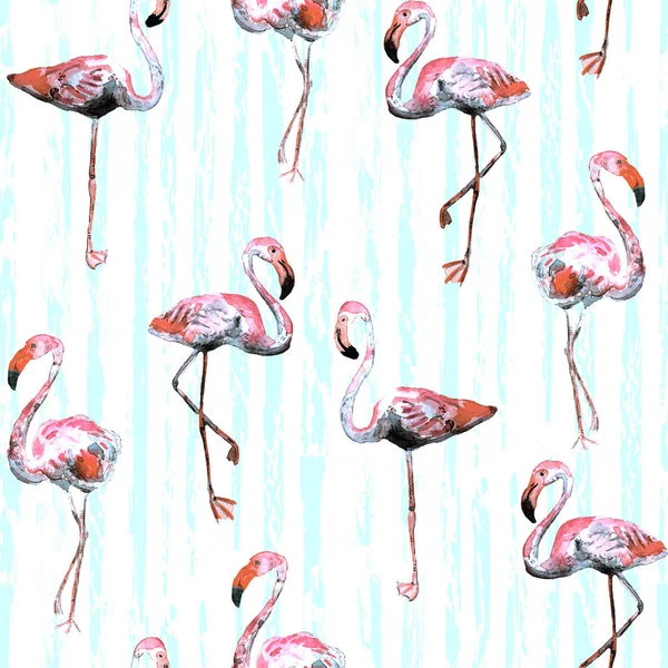 Flamingo desen. Yaz suluboya arka plan.