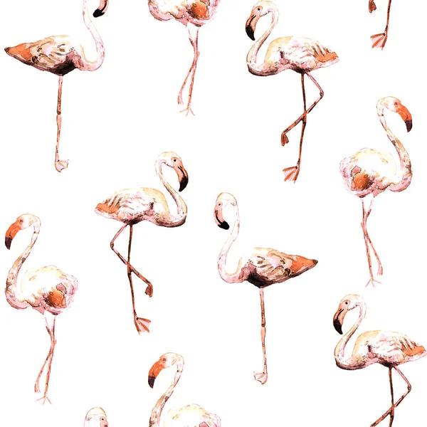 Modèle de flamant rose. Eté fond aquarelle . — Photo